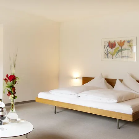 Krone In Au 호텔 4*