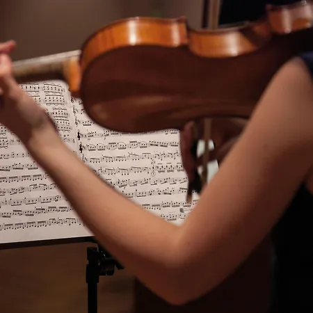 Krone In Au Au (Bregenz)